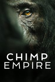 L’impero degli scimpanzé